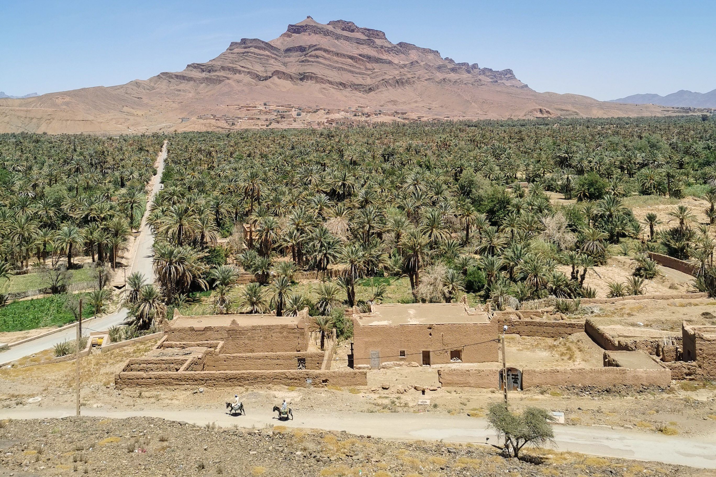 Vista panorámica de un oasis en el Valle del Draa, Marruecos